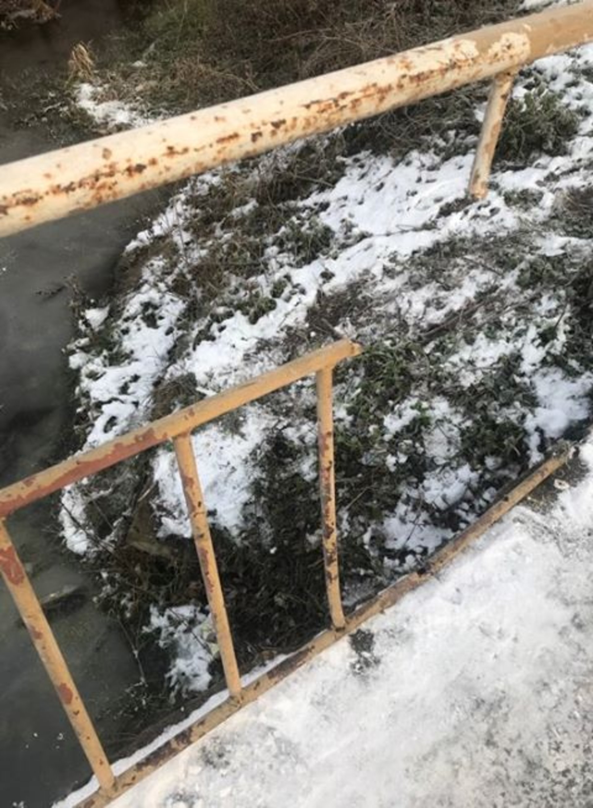 Фото: "Буськ онлайн"