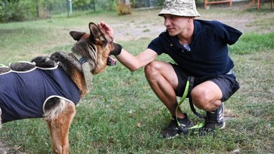 У Львові ветеран без руки щодня вигулює 60 собак
