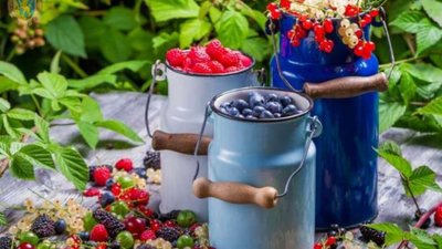 На Комплексну програму підтримки та розвитку агропромислового виробництва залучили майже 20 мільйонів гривень