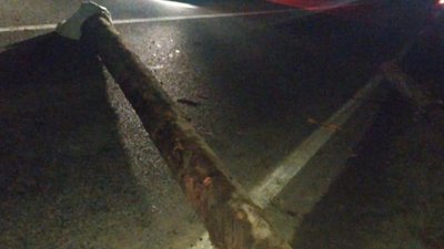 На Сколівщині підвода з деревиною потрапила у ДТП (ФОТО)