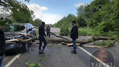 На Львівщині дерево впало на автомобіль (ФОТО)