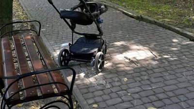 У Львові гілка від дерева відправила дитину у лікарню