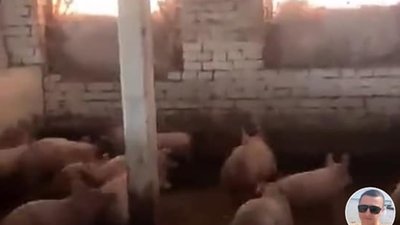 Прикордонник з Львівщини вважає воїнів ЗСУ свинями