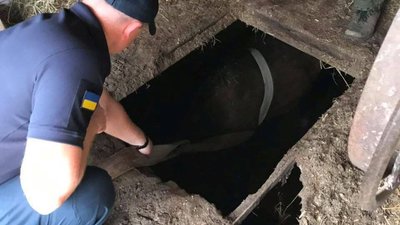 На Жовківщині рятувальники витягли з пастки коня (ФОТО)