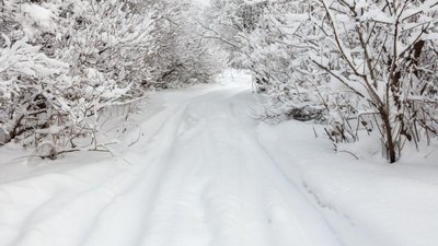 На Захід України налетять хуртовини
