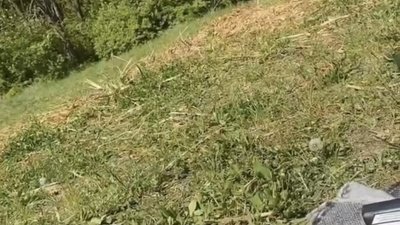 Біля Львова чоловік мастурбував на природі (ВІДЕО)