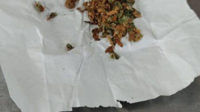 У Раві-Руській митники вилучили наркотичні речовини (ФОТО)