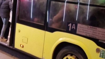У Львові автобуси Садового святкують Різдво