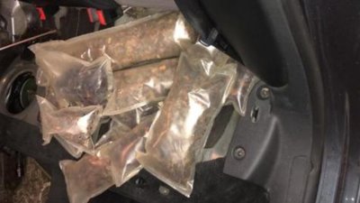 На кордоні з Польщею в паливному баку авто виявили 20 кг бурштину (ФОТО)