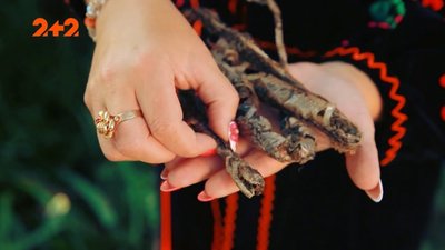У Карпатах помітили невідомих мутантів (ВІДЕО)