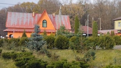 У двох громадах Львівської МТГ висадили ялинки