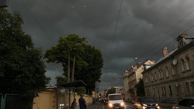 Садовий закликав триматись подалі від дерев