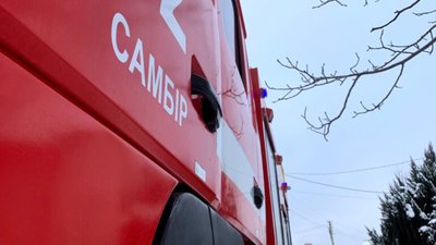 На Львівщині блискавка вдарила у стайню з худобою