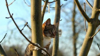 Майже весна: сьогодні українців порадує суха та тепла погода