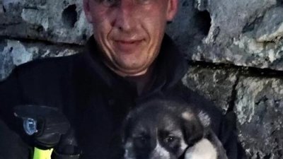 На Львівщині надзвичайники витягнули з бетонних плит цуценя