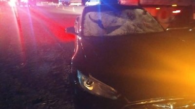 На Львівщині Tesla смертельно травмувала юнака (ФОТО)