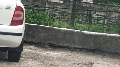 У Львові щурі окупували будинки на вулиці Стрийській (ФОТО)