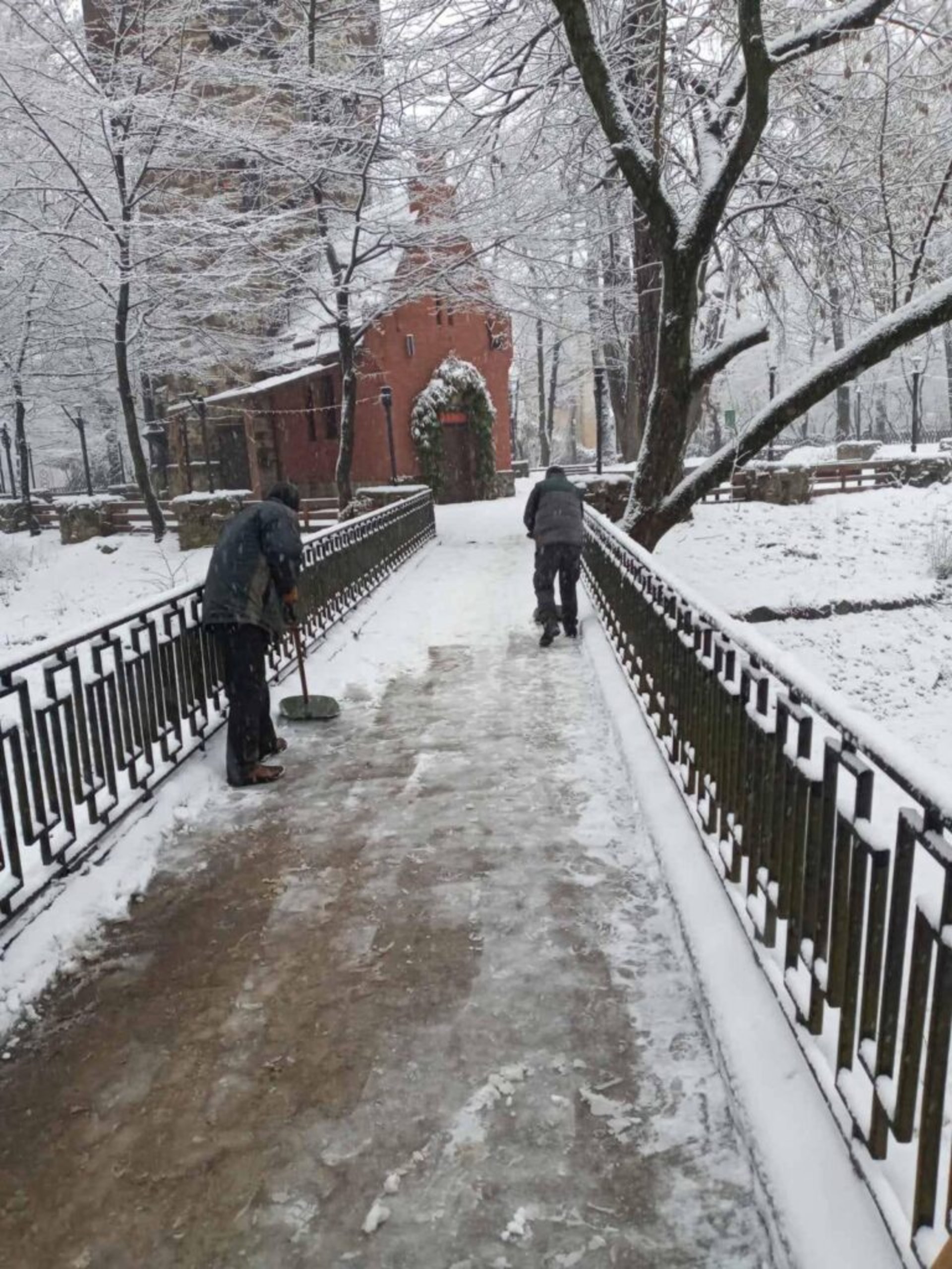 У Львові закликають уникати прогулянок у парках, фото Стрийського парку