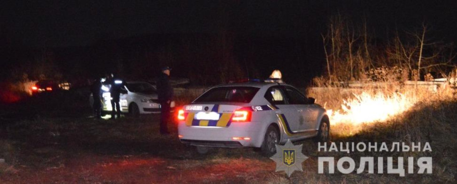 Біля Львова водій розбив два поліцейські автомобілі