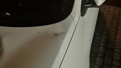 37-річний мешканець Херсонської області потрощив автомобілі у Львові і заліз у магазин (ФОТО)