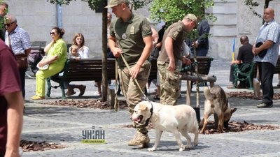 Центр Львова перевіряли кінологи (ФОТО)