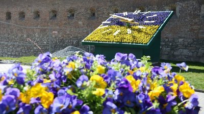 У Львові почали висаджувати перші квіткові композиції