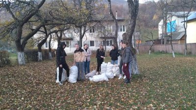 На Закарпатті школярі зібрали 20 мішків яблук для ведмедів
