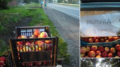 Соцмережу вразили два юні хлопчики із села на Львівщині