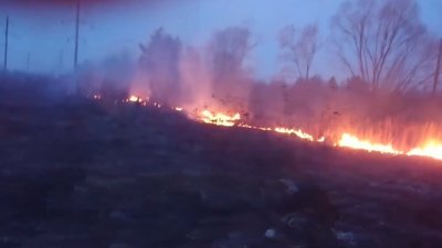 У Білогорщі через паліїв трави загорілося торфовище (ВІДЕО)