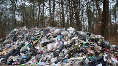Сміття зі Львова виявили у лісі під Хотином (ФОТО)