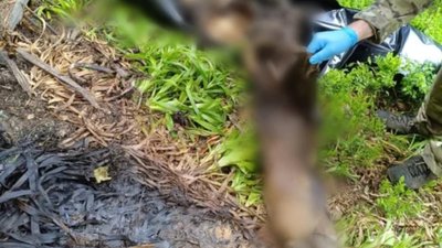 Поблизу кордону з Румунією прикордонники виявили тіло людини