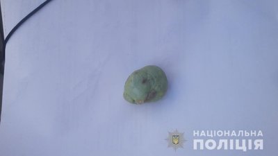 Пшик команди Садового: у Львові підліток не кидав каміння у школі