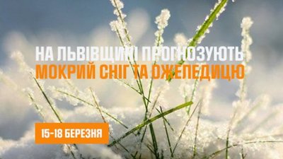 На Львівщині випав сніг