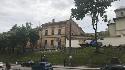 У центрі Львова другий день підряд вирізують дерева (ВІДЕО)