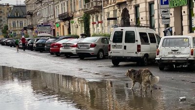 Івано-Франківськ затопило (ФОТО)