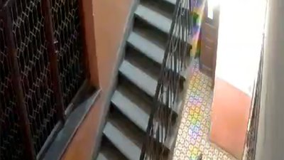 У Львові будинки в історичному центрі міста заполонили щурі (ВІДЕО)