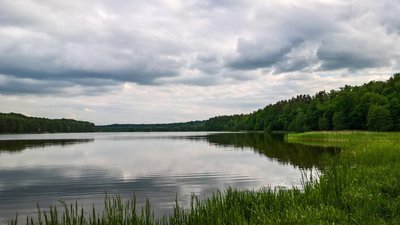 На Львівщині під час війни хочуть вкрасти землю