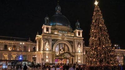 У Львові встановлять 22-метрову живу ялинку