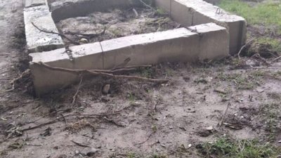 У Львові самовільно захопили землю і зрізали дерева (ФОТО)