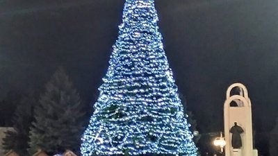 У центрі Стрия "заквітла" штучна ялинка (ФОТО)