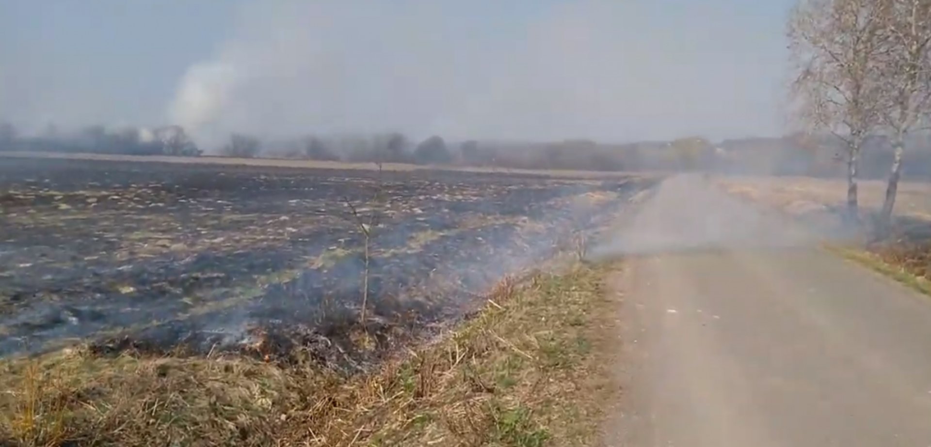 Скриншот відео
