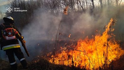 Мешканців Львівщини закликають не палити суху траву