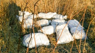 На Львівщині неподалік відпочинкового комплексу виявили 16 мішків з тушками кролів (ФОТО)