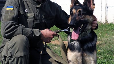 На Львівщині покинутий пес через соцмережі "знайшов роботу" у Нацгвардії