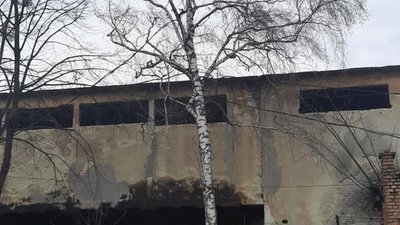 То є Львів: електричні дроти чіпляють на дерева (ВІДЕО)