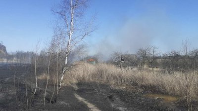 У Червонограді через паліїв трави вигорів дачний масив (ФОТО)