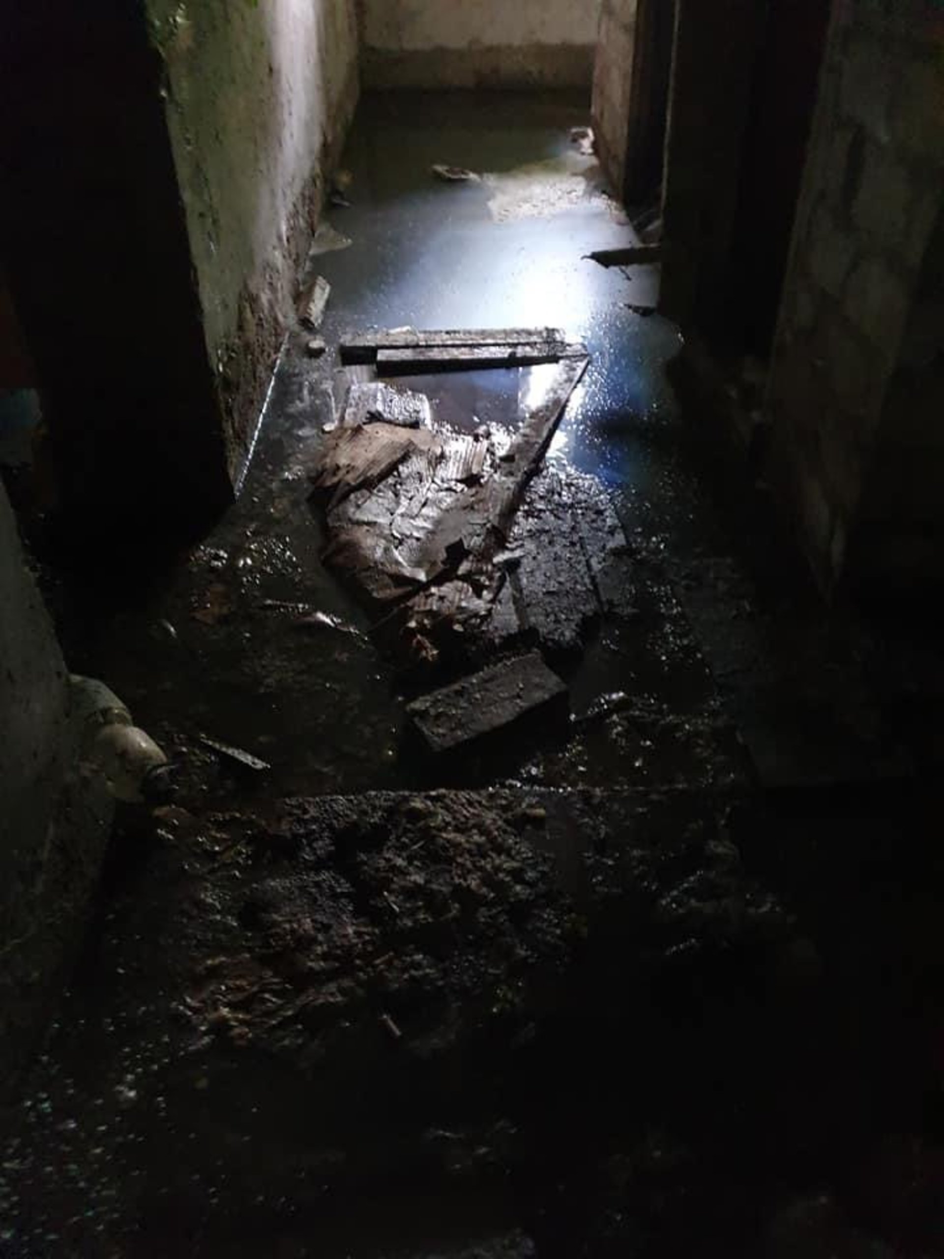 У Львові підвал будинку затоплює фекаліями, фото Гаряча лінія міста Львова