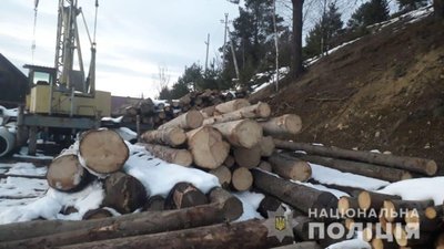 На Львівщині виявили ще одну пилораму завалену незаконно зрубаними деревами (ФОТО)