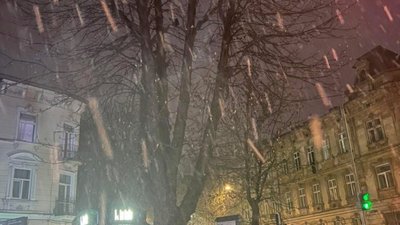 У Львові падає сніг