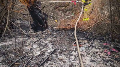 На Львівщині за добу 94 рази палили суху траву